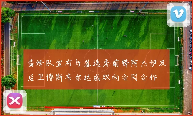 黄蜂队宣布与落选秀前锋阿杰伊及后卫博斯韦尔达成双向合同合作