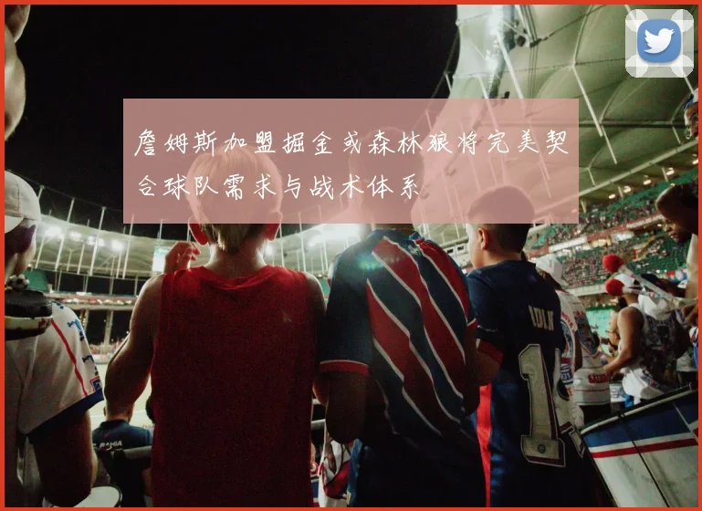 詹姆斯加盟掘金或森林狼将完美契合球队需求与战术体系